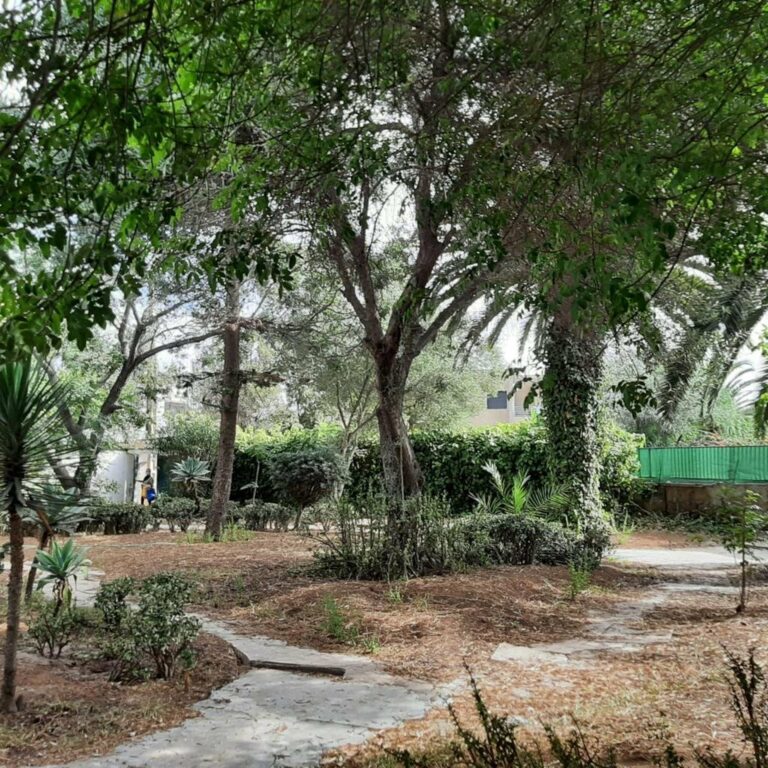 Terrain R+1 à acheter 33800000 Dh à Casablanca