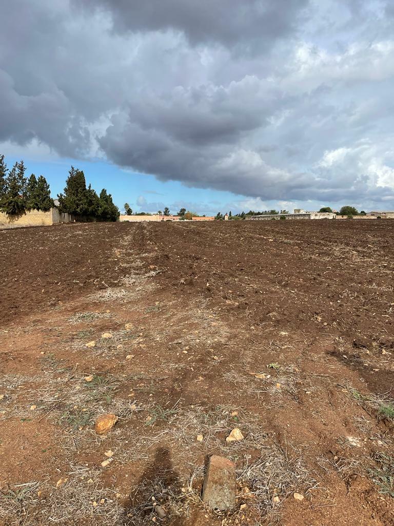 TERRAIN AGRICOLE A VENDRE