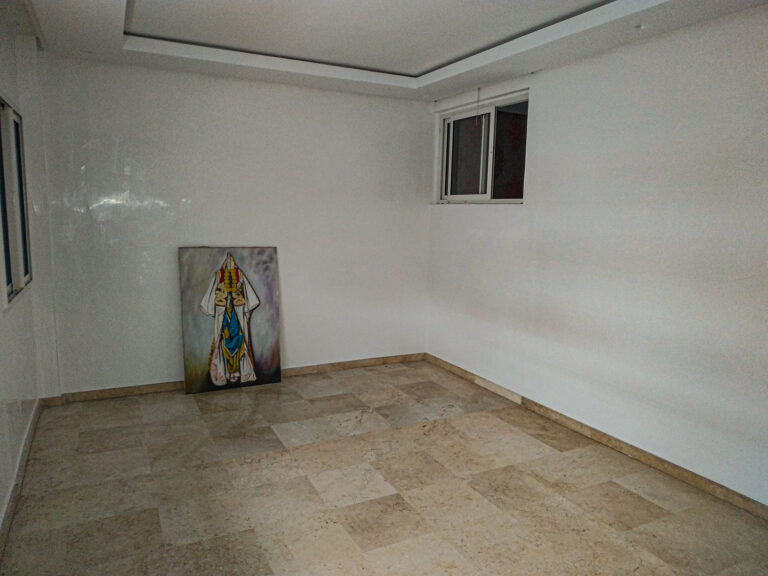  APPARTEMENT A LOUER BD  EMILE ZOLA