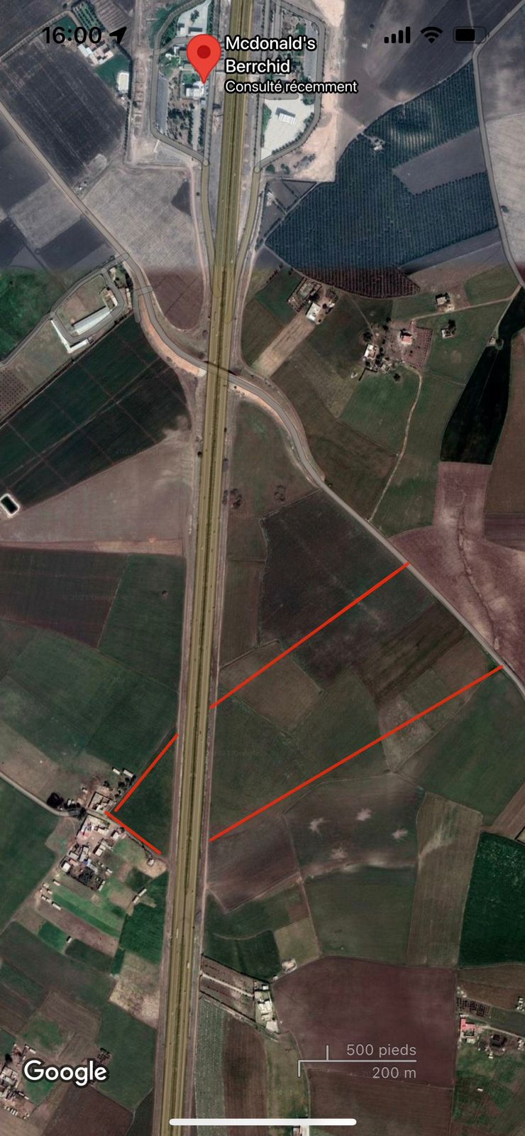 À Vendre : Terrain Agricole à Berrechid