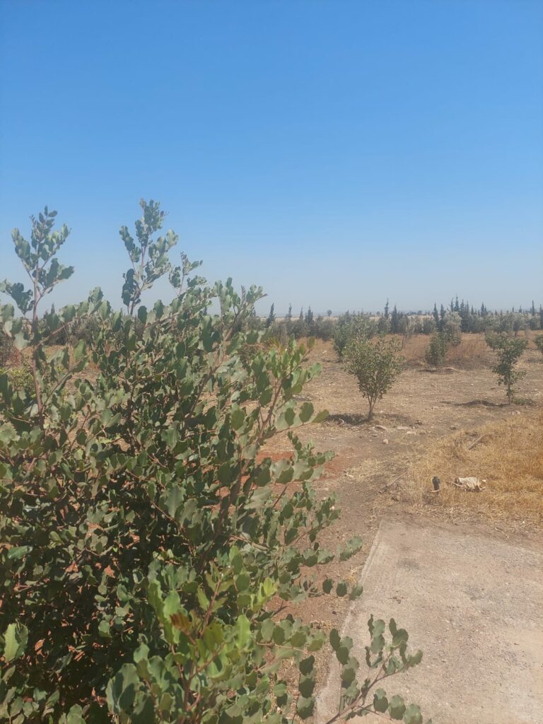 Ferme à vendre – Superficie 9 000 m²